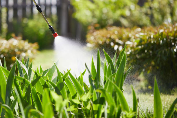 24/7 Emergency Wasp Removal experts in Evergreen, AL
