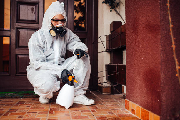 Reliable Wasp Removal contractor in Evergreen, AL by Show Me Pest Control
